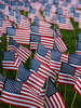 Flag Field_Thumb