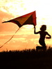 Kite_Thumb