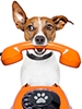 dog-with-phone