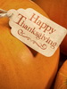 Thanksgiving_thumb