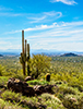 Desert_thumbnail