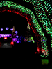 chirstmas-in-color