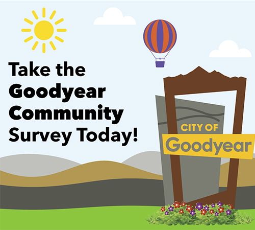 community survey thumbnail
