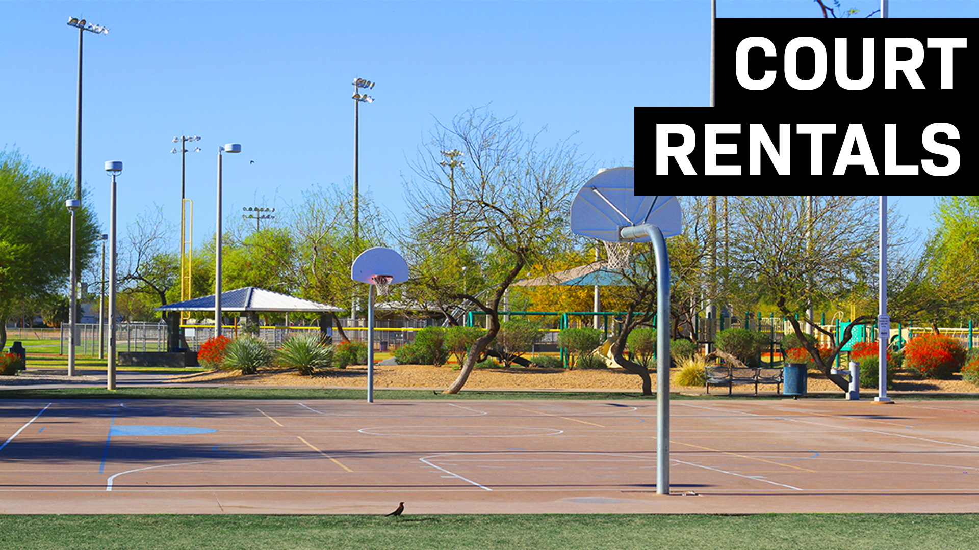 2021 court rentals basketball