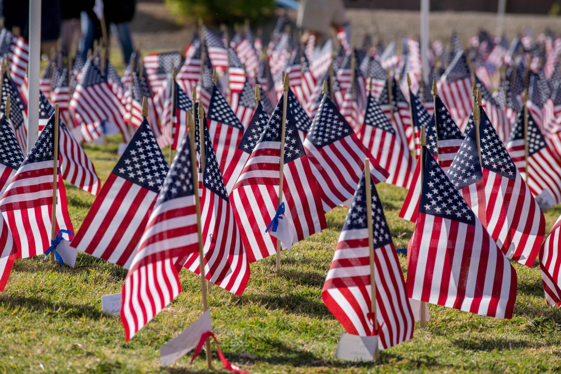 2019 Veterans Day 