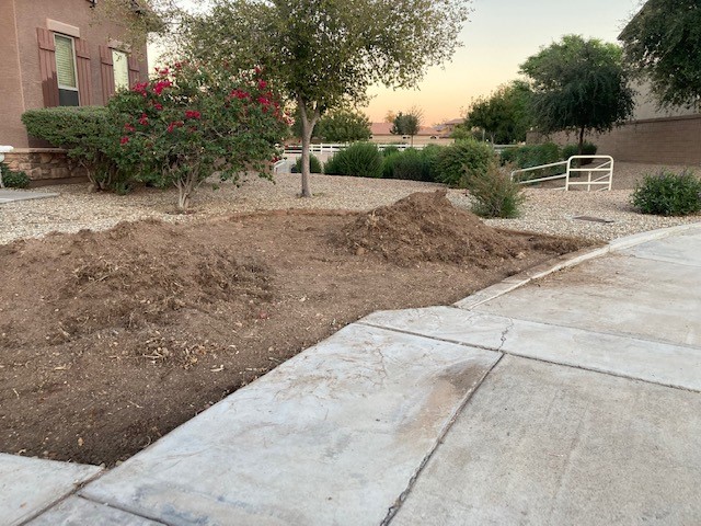 lawn removal in progess