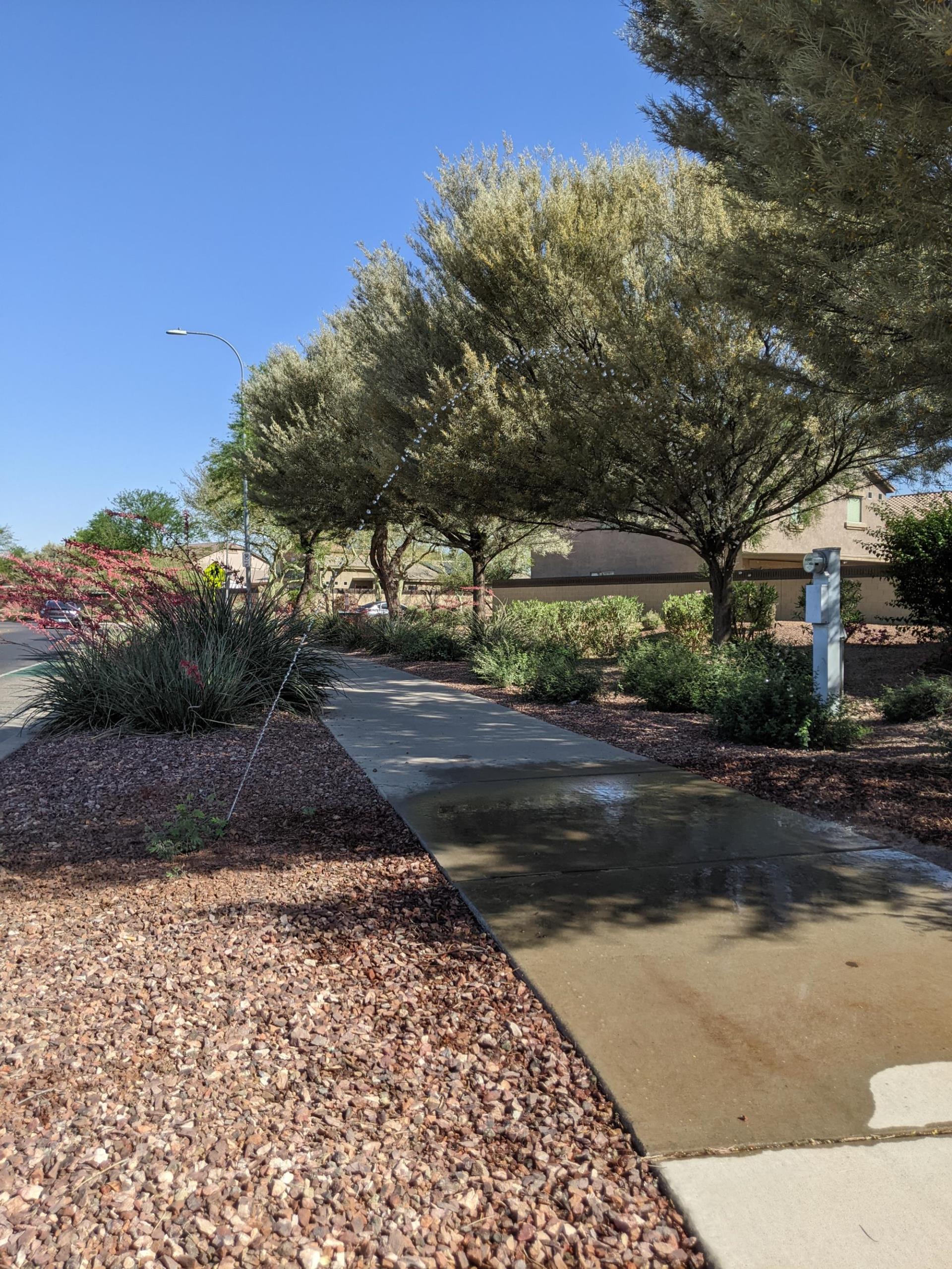 Drip irrigation system with a visible water leak
