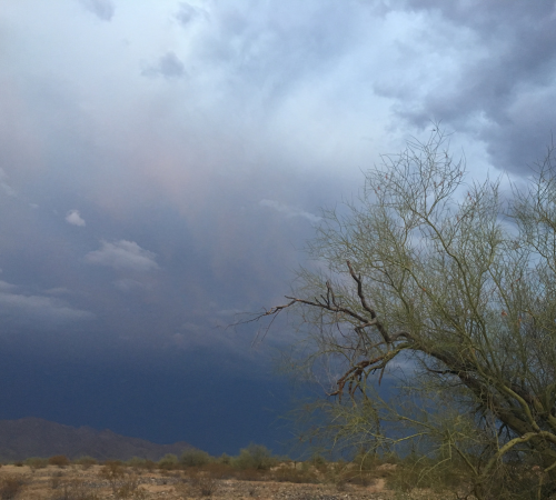 Be Monsoon Ready