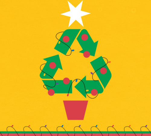 Tree Disposal-Web news thumbnail