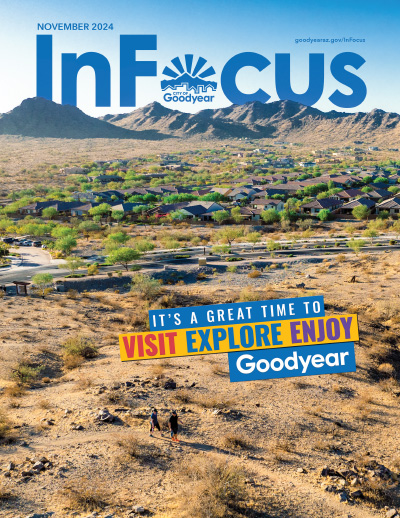 InFocus November 2024