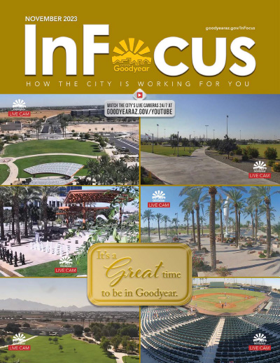 InFocus November 2023